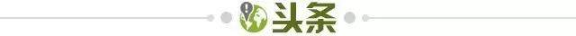 bwin-【早报】中国足球,等待戈多...